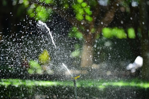 How to Keep Mosquitoes Out of Your Yard Without Turning It Into a Chemistry Lab
